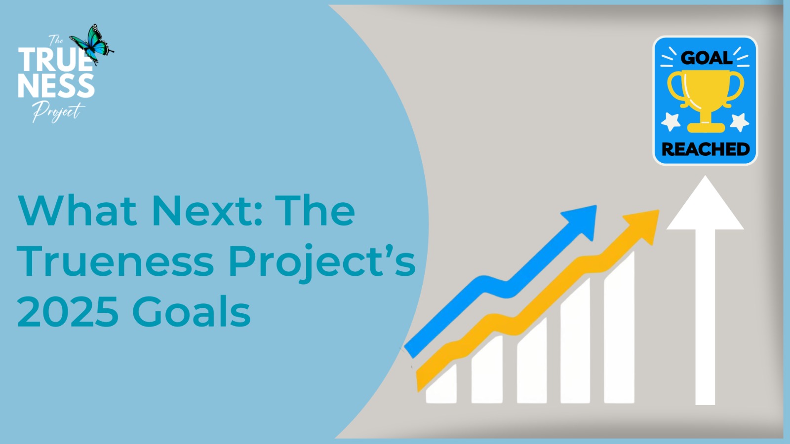 What Next: The Trueness Project's 2025 Goals